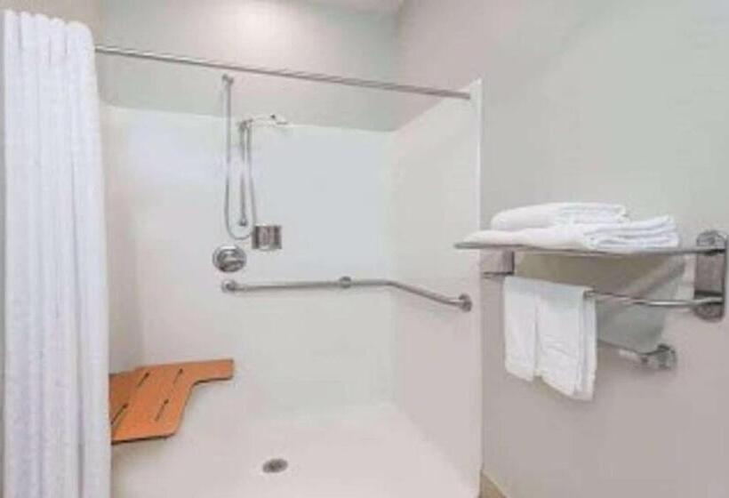 장애인을 위한 퀸사이즈 스탠다드 룸, Sonesta Essential Morgantown