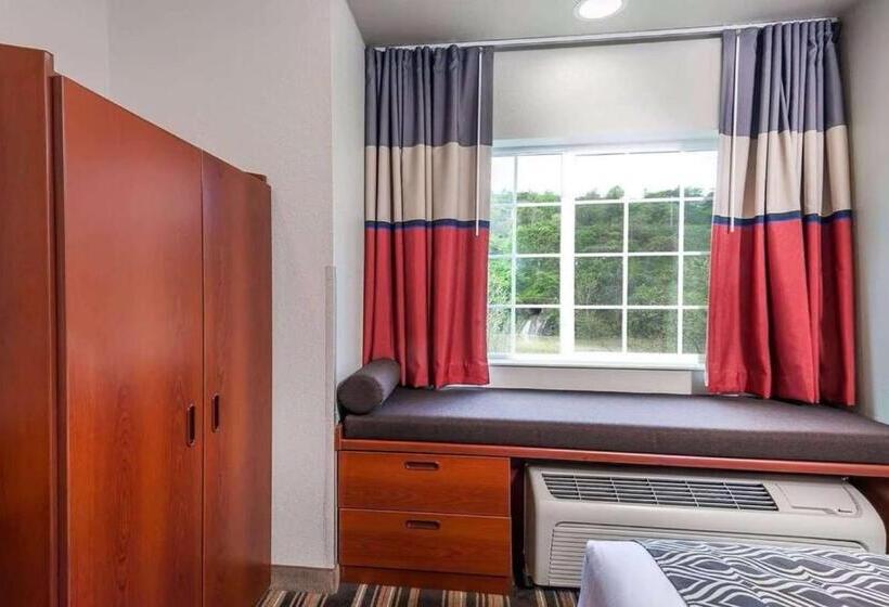 스탠다드 룸, Sonesta Essential Morgantown