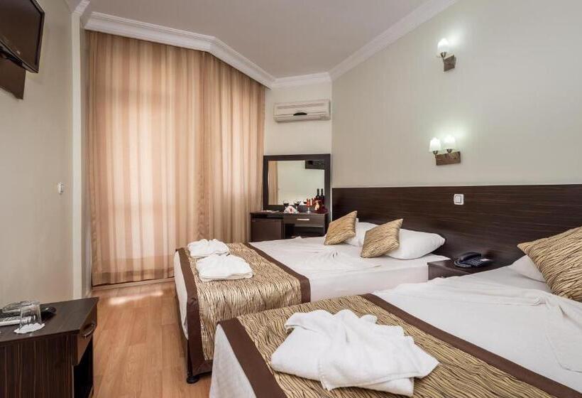 اتاق استاندارد, Zel