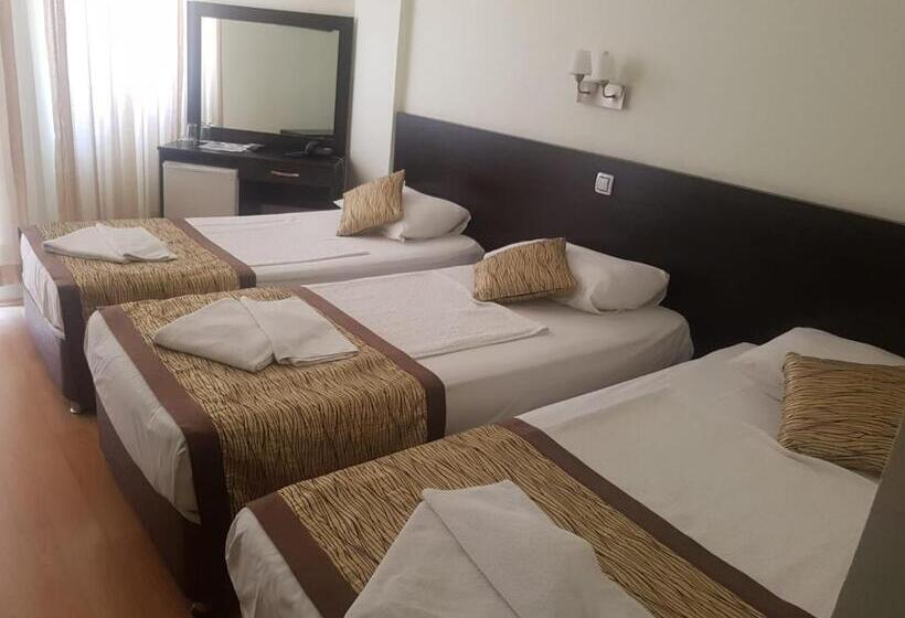 اتاق استاندارد سه نفره, Zel