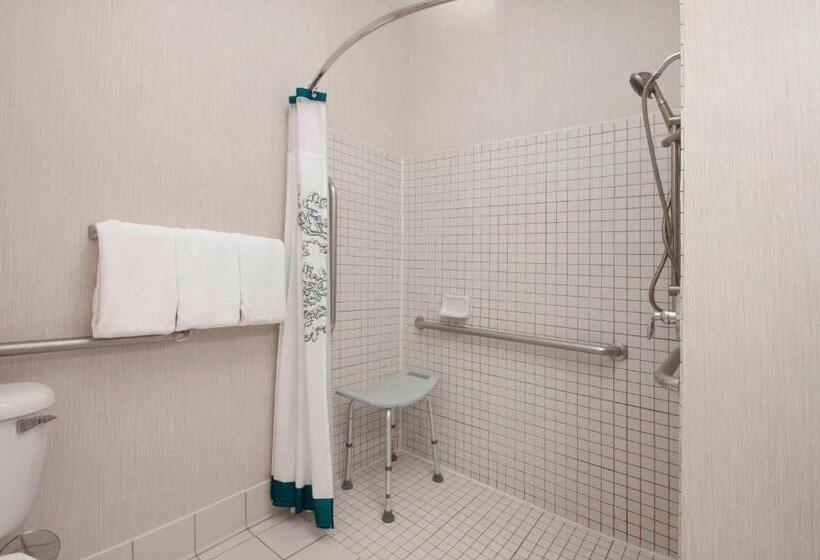 带大床的标准工作室, Residence Inn By Marriott San Antonio North Stone Oak