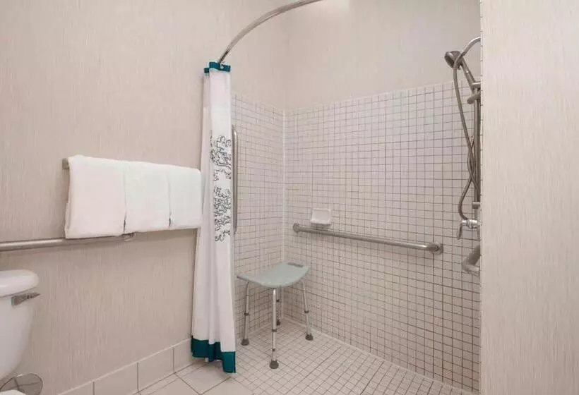 Standard-studio King-vuode, Residence Inn By Marriott San Antonio North Stone Oak