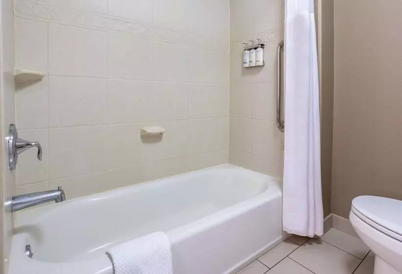 ２ベッドスイートルーム, Staybridge Suites Wilmington East, An Ihg