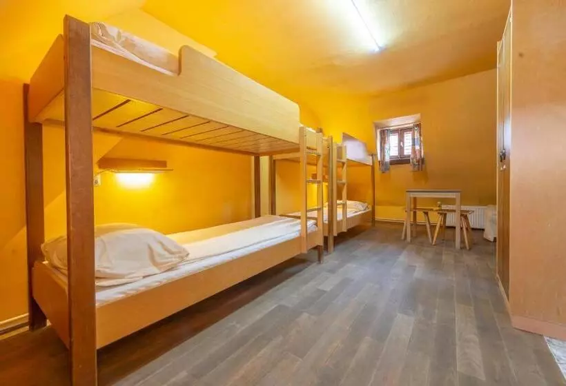Bed in Shared Room with Shared Bathroom, Burg Hostel Sighisoara