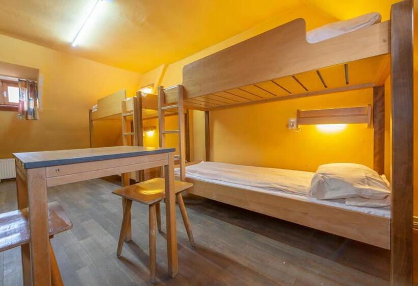 Bed in Shared Room with Shared Bathroom, Burg Hostel Sighisoara