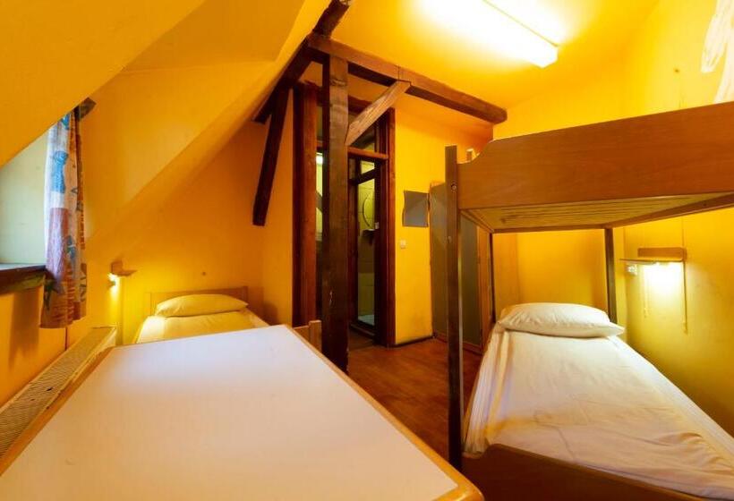 اتاق استاندارد با سرویس بهداشتی مشترک, Burg Hostel Sighisoara