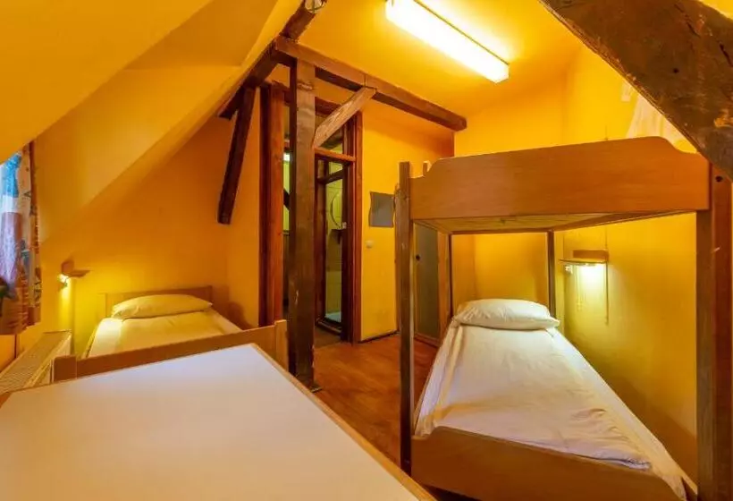 Standard-huone Jaettu Kylpyhuone, Burg Hostel Sighisoara
