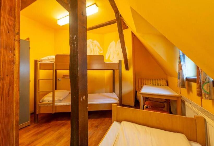 اتاق استاندارد با سرویس بهداشتی مشترک, Burg Hostel Sighisoara