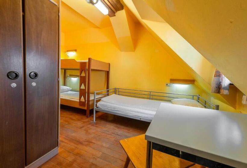 اتاق استاندارد با سرویس بهداشتی مشترک, Burg Hostel Sighisoara