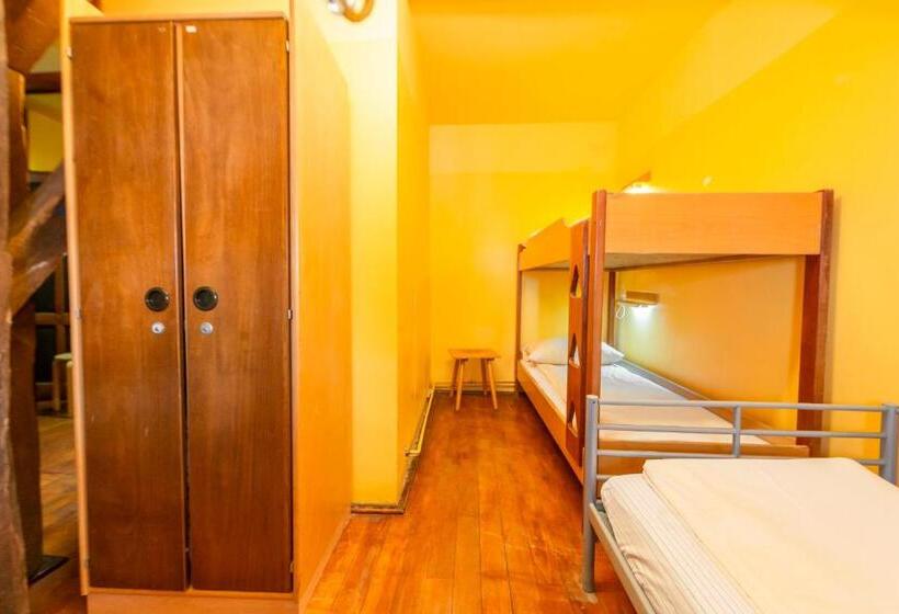 اتاق استاندارد با سرویس بهداشتی مشترک, Burg Hostel Sighisoara