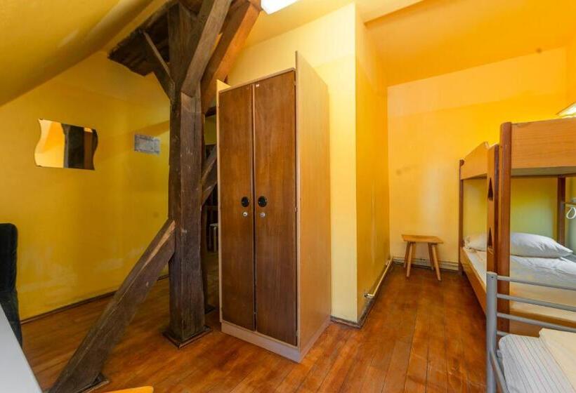 اتاق استاندارد با سرویس بهداشتی مشترک, Burg Hostel Sighisoara
