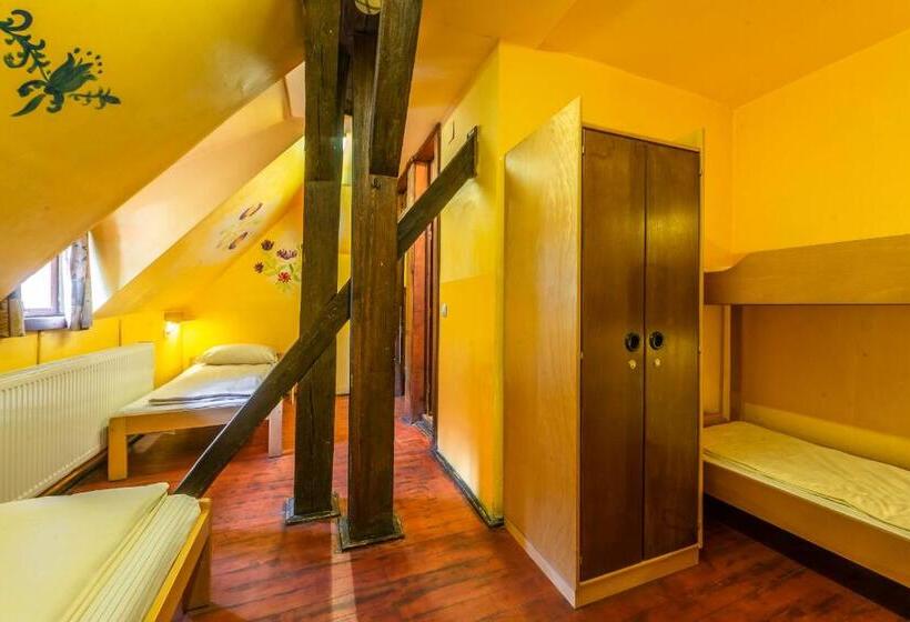 تختخواب در اتاق مشترک, Burg Hostel Sighisoara