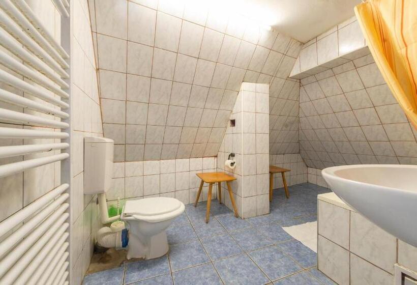 تختخواب در اتاق مشترک, Burg Hostel Sighisoara