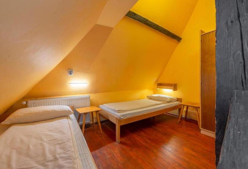 تختخواب در اتاق مشترک, Burg Hostel Sighisoara