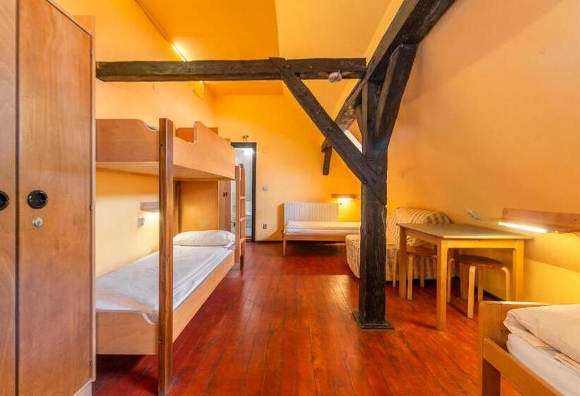 تختخواب در اتاق مشترک, Burg Hostel Sighisoara