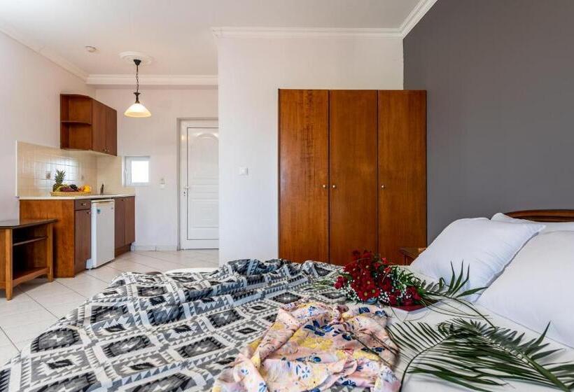 标准间带阳台, Dinos