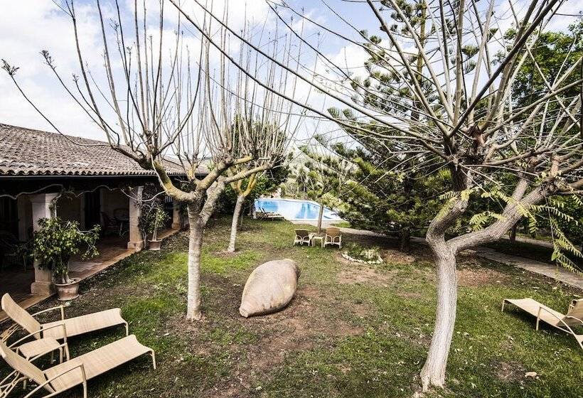 Superior Room with Terrace, Aumallia Hotel & Spa