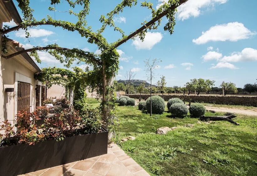 اتاق پرمیوم, Aumallia Hotel & Spa