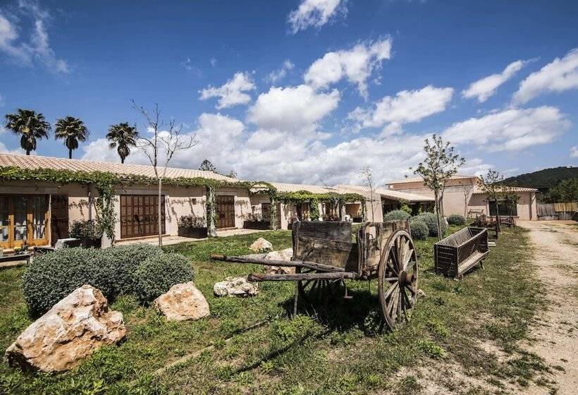 اتاق پرمیوم, Aumallia Hotel & Spa