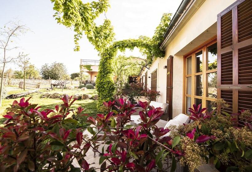 اتاق پرمیوم, Aumallia Hotel & Spa