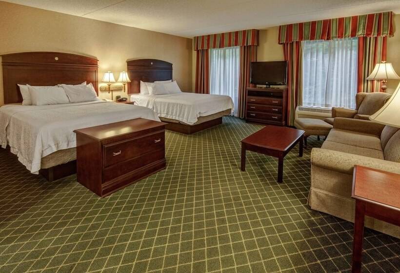 Студия Стандарт, Hampton Inn Cambridge
