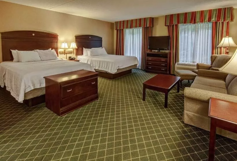 スタンダードスタジオ, Hampton Inn Cambridge