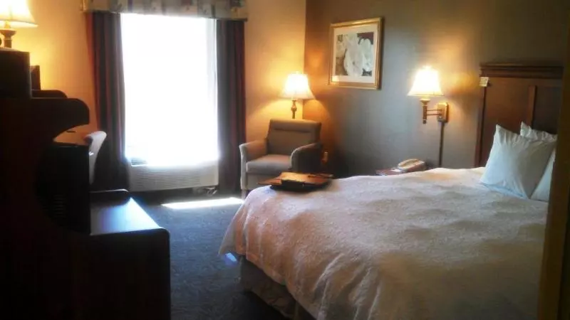 キングサイズベッドのスタンダードルーム, Hampton Inn Greenwood