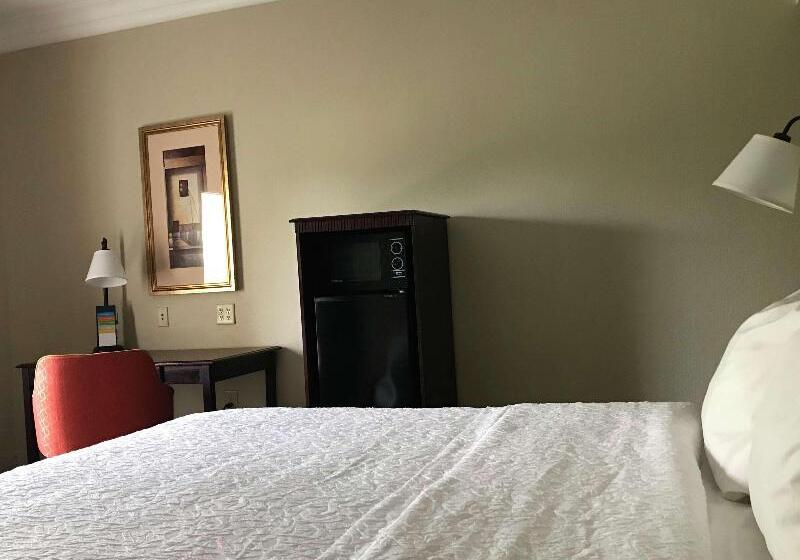 غرفة قياسية سرير كينج, Hampton Inn Vidalia