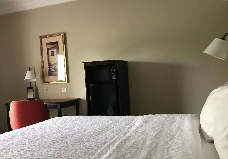 キングサイズベッドのスタンダードルーム, Hampton Inn Vidalia
