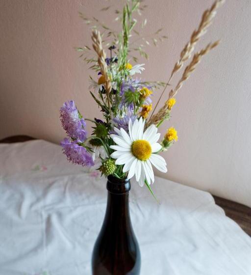 اتاق استاندارد سه نفره, Rooms Pevc & Hostel Ljubno Ob Savinji