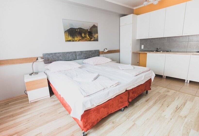１ベッドルームアパートメント, Cybulskiego Guest Rooms