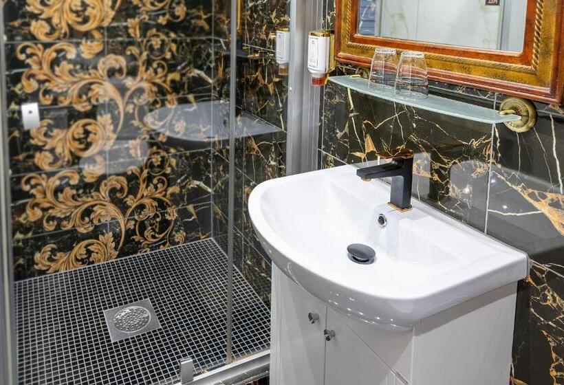 آپارتمان 1 خوابه با تراس, Hansa Hotel