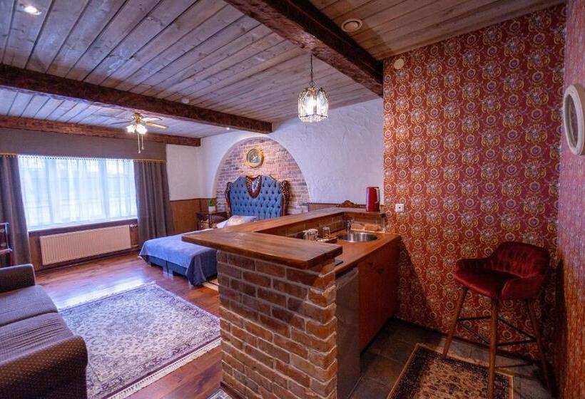 آپارتمان 1 خوابه با تراس, Hansa Hotel