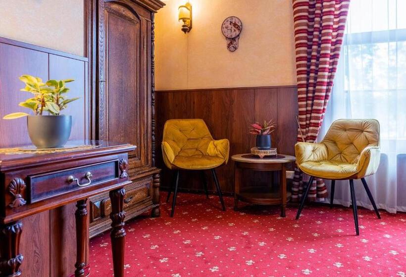 اتاق سوپریور, Hansa Hotel