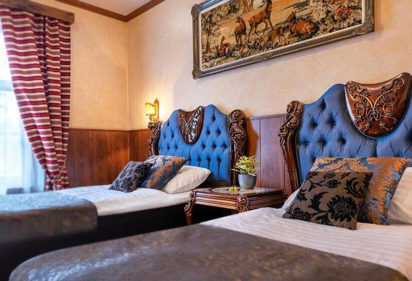 اتاق سوپریور, Hansa Hotel