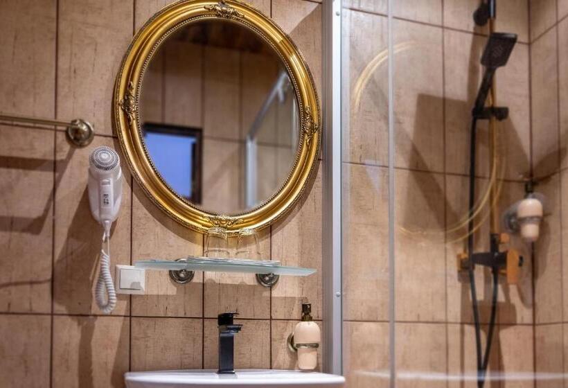 اتاق سوپریور, Hansa Hotel