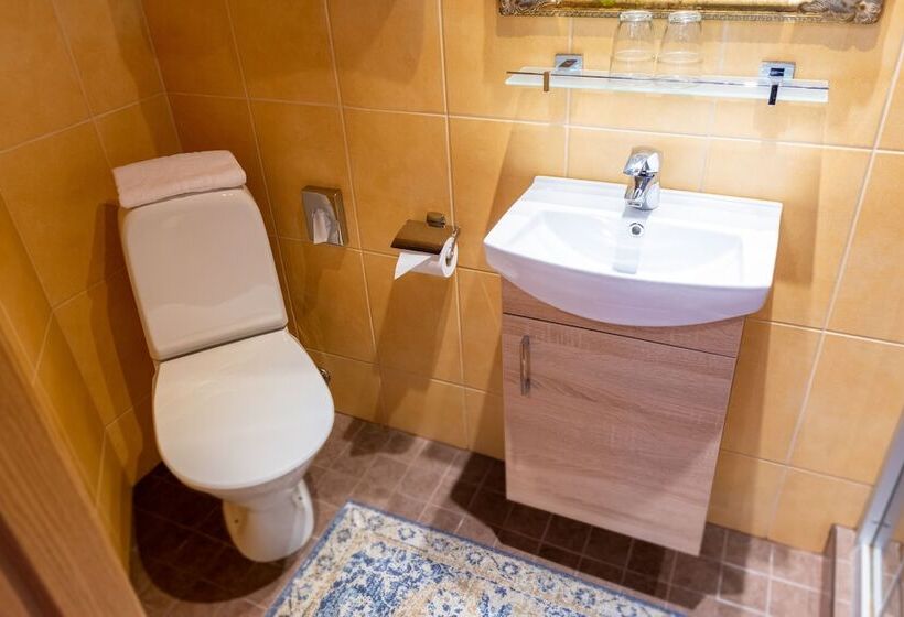 اتاق استاندارد, Hansa Hotel