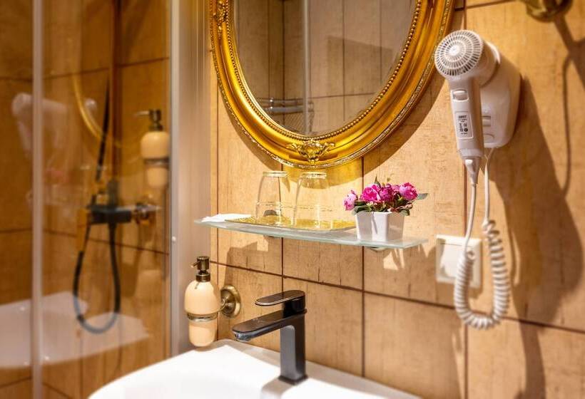 اتاق سوپریور, Hansa Hotel