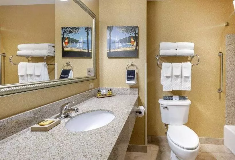スイート, Best Western Plus Ponderay Mountain Lodge Sandpoint