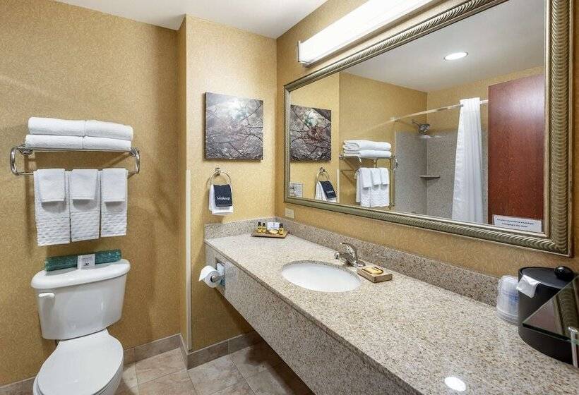 جناح, Best Western Plus Ponderay Mountain Lodge Sandpoint