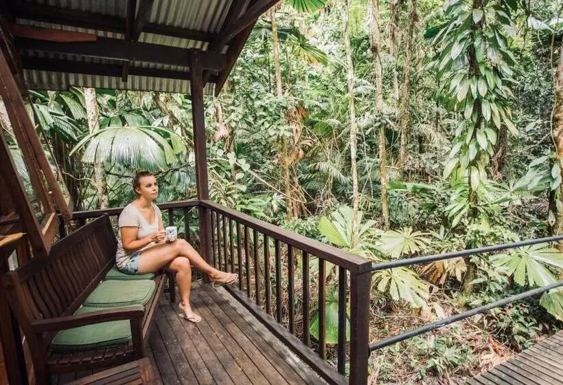 キャビン, Daintree Wilderness Lodge