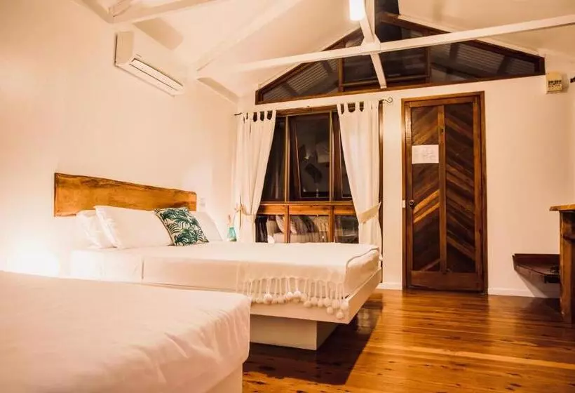 スタンダードバンガロー, Daintree Wilderness Lodge