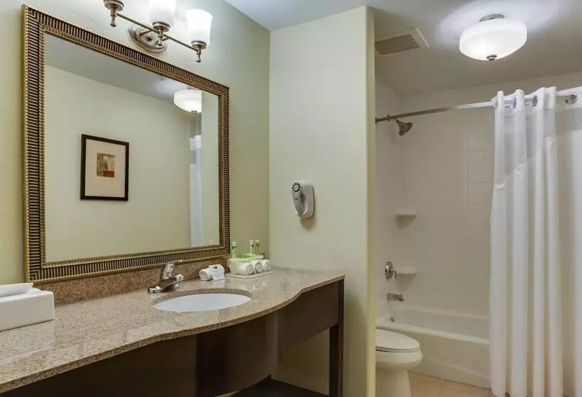 スタンダードルーム, Holiday Inn Express & Suites Moultrie, An Ihg