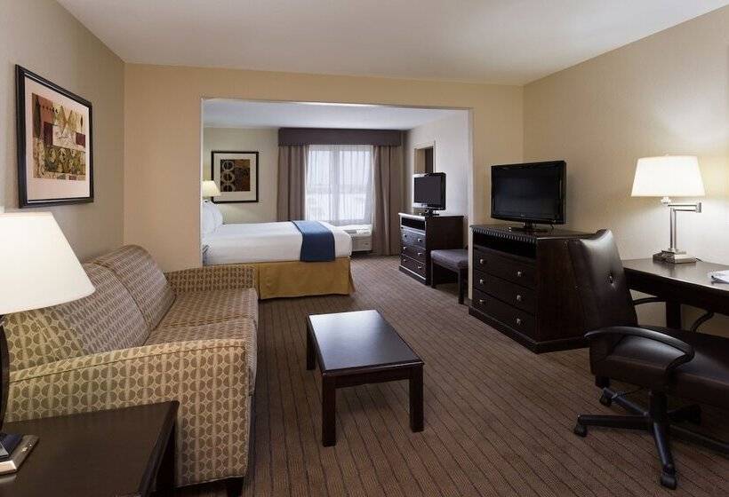 جناح لذوى الاحتياجات الخاصة, Holiday Inn Express & Suites Moultrie, An Ihg