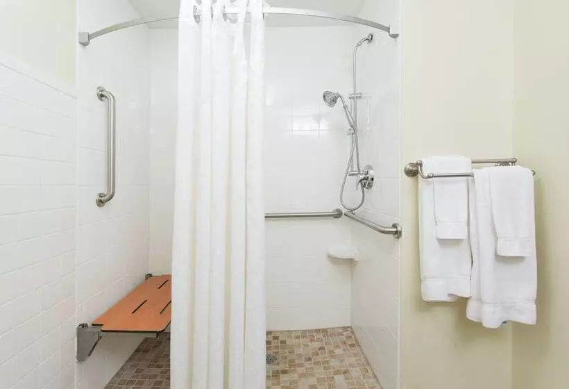 身障者適用スイートルーム, Holiday Inn Express & Suites Moultrie, An Ihg