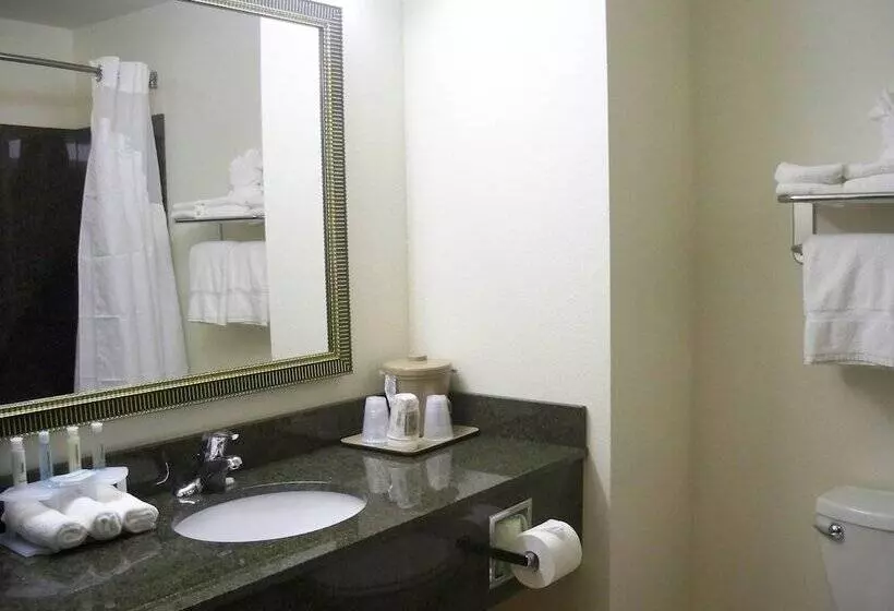 Sviitti, Holiday Inn Express & Suites   Omaha I   80, An Ihg