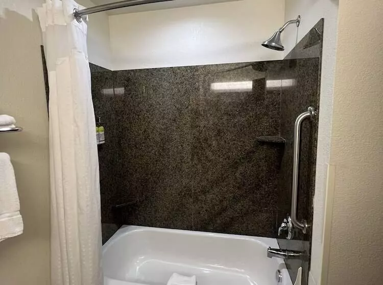 Standard-huone, Holiday Inn Express & Suites   Omaha I   80, An Ihg