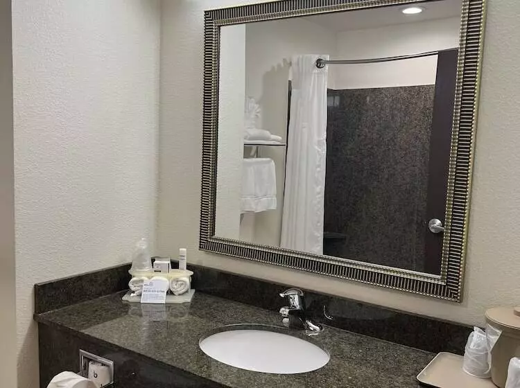 Standard-huone, Holiday Inn Express & Suites   Omaha I   80, An Ihg