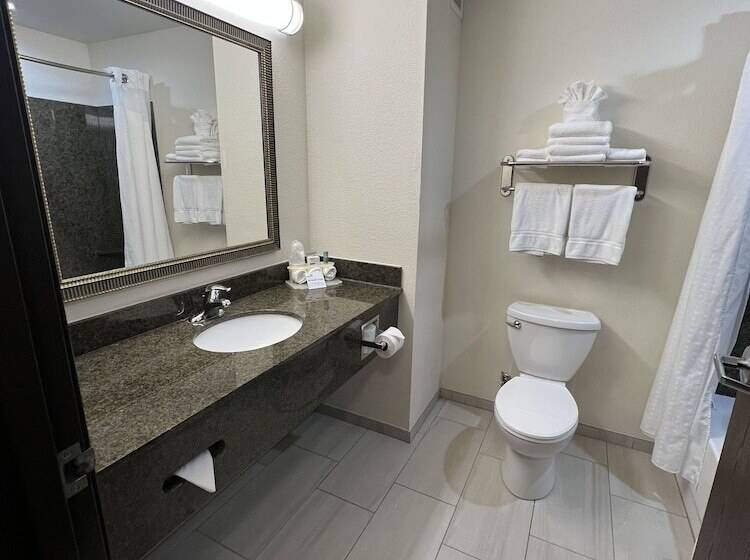 Люкс Адаптированный для Инвалидов, Holiday Inn Express & Suites   Omaha I   80, An Ihg