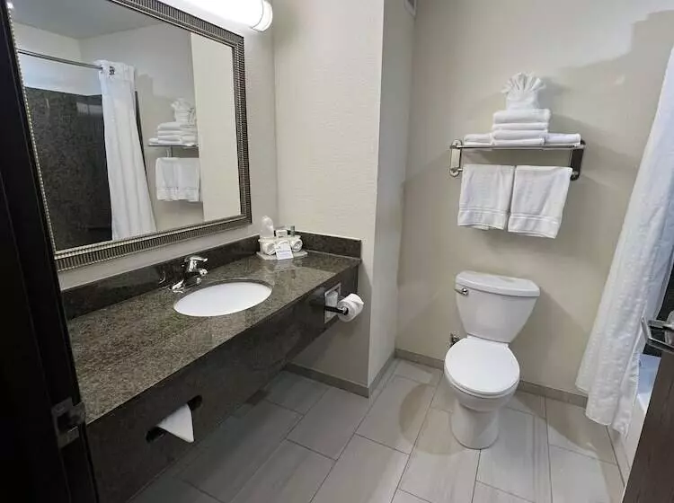 Sviitti Liikuntarajoitteisille, Holiday Inn Express & Suites   Omaha I   80, An Ihg